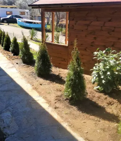 Файър бийч Робинзон