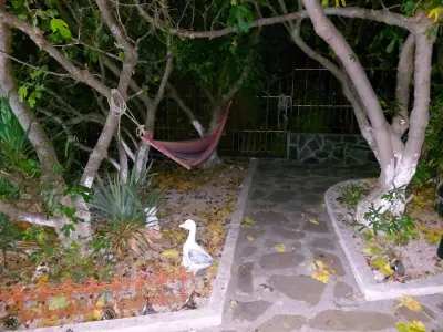 Riviera Beach Hotel