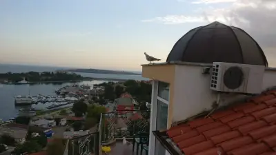Вила Пашови