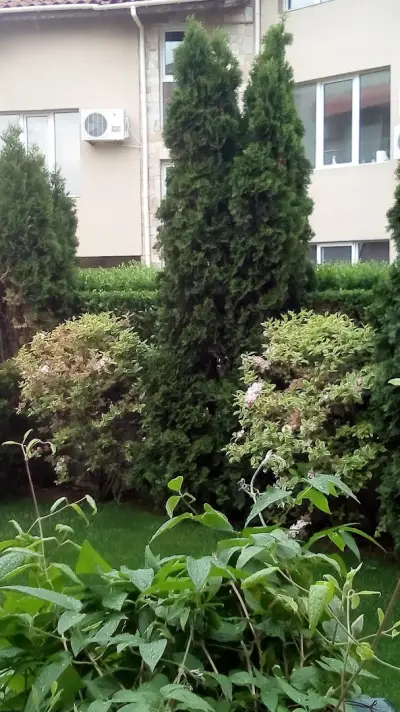 Къща за гости Дарис