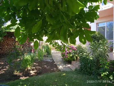 House Rezvaya with rooms for rent