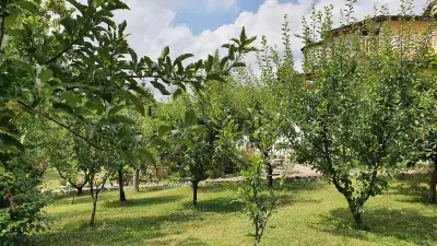 Вила Зеленика