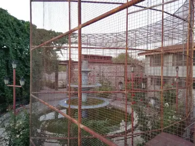 Стаи за гости Дивата Патица