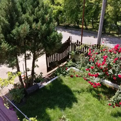 Къща за Гости Елида