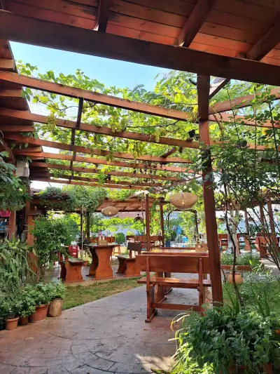 Alba Family Club Hotel