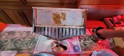 Семеен хотел Анестес