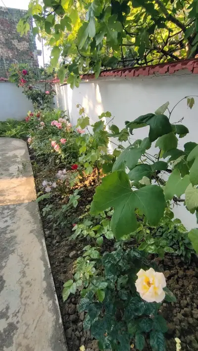 Guest House Evtimov