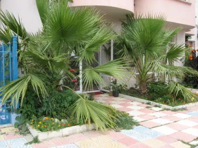 Guest House Malkata Stopanka