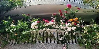 Квартири в Частен дом Нерида Поморие