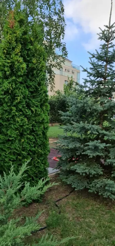 Лилия Къща за Гости