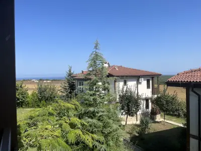 Vis Velika