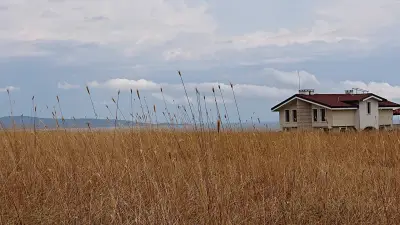 Vis Velika
