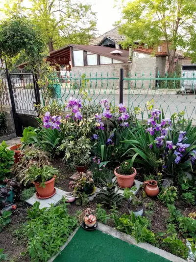 Стаи за гости Котвата