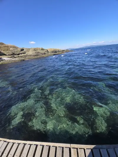 Морски Бриз