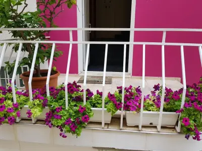 Guesthouse Flora