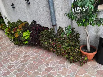 Guest House Urdoviza