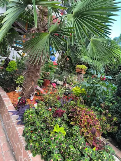 Guest House Urdoviza