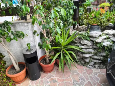 Guest House Urdoviza