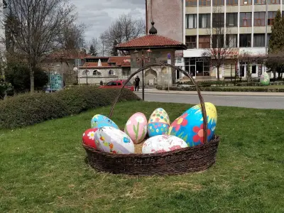Тренчев ООД