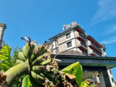 Хотел „Замъка”