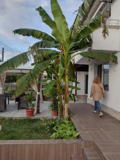 Villa Rusto