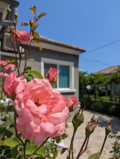 Вила Йова Роза / Villa Yova Roza