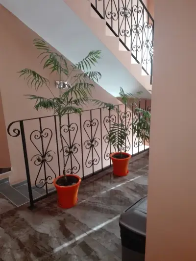 Атес