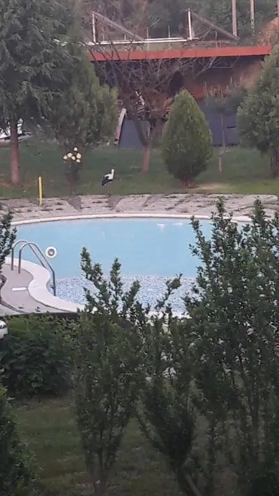 Кошарица,база Helena Resort