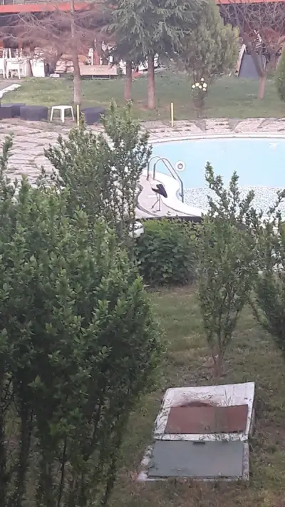 Кошарица,база Helena Resort