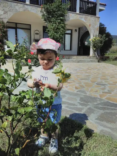 Кошарица,база Helena Resort