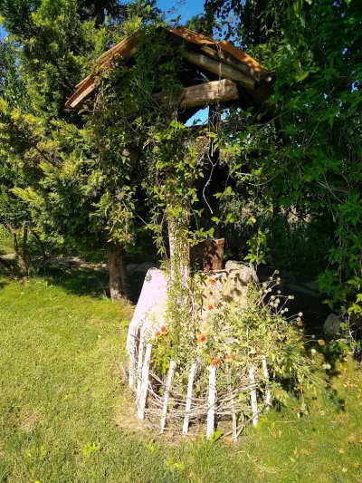 Guesthouse Savich Къща за гости Савич