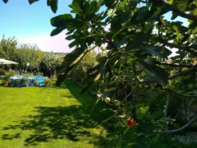 Guesthouse Savich Къща за гости Савич
