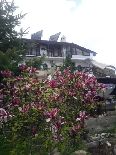 Guesthouse Savich Къща за гости Савич