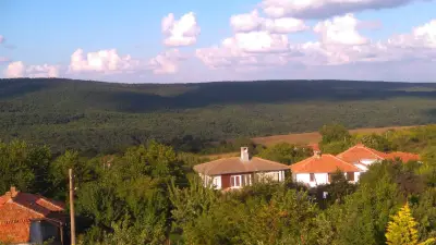 Guesthouse Savich Къща за гости Савич