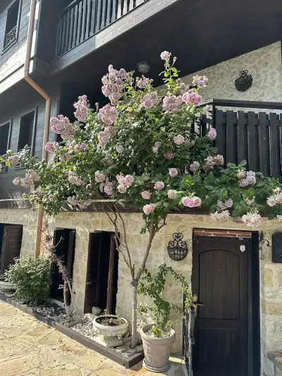 Milena Apartment