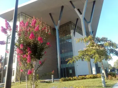 Despina