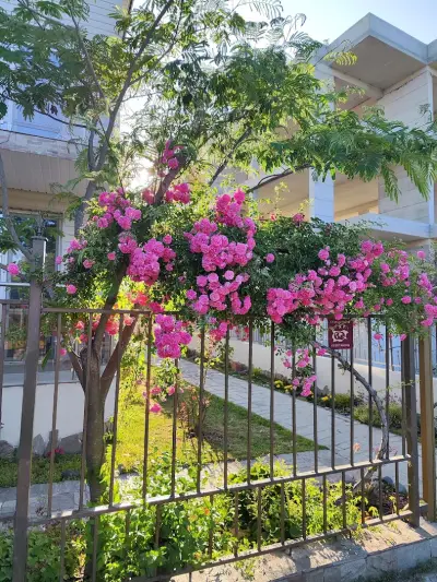 Morska Zvezda Guest House