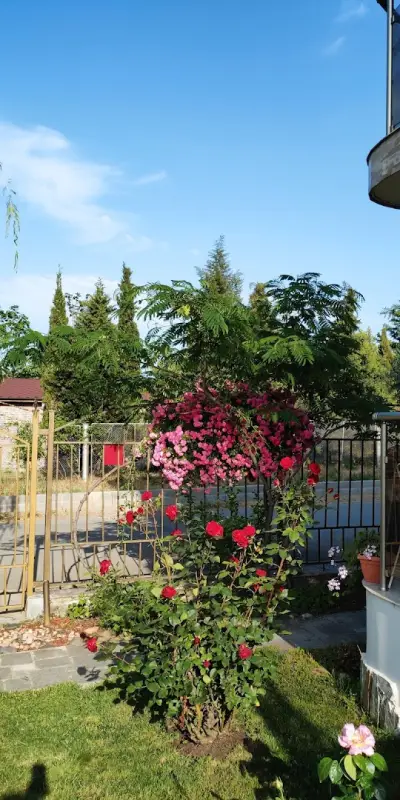 Morska Zvezda Guest House