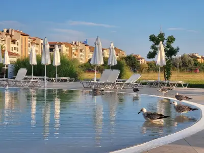 Sunrise Blue Magic Resort - All Inclusive
