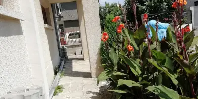 Сотирови, самостоятелни стаи