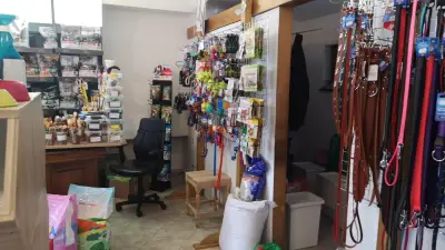 ЗооМагазин Ася