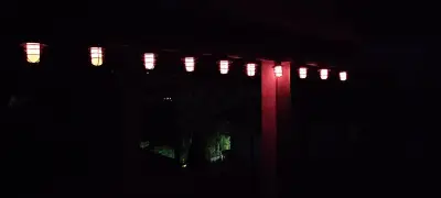 ВИЛА БОЖИ