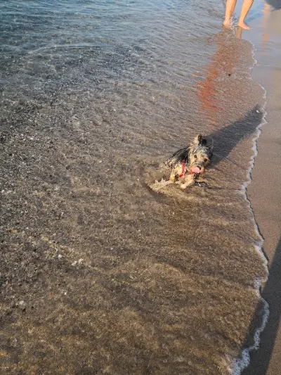 Къща за Гости Край Морето