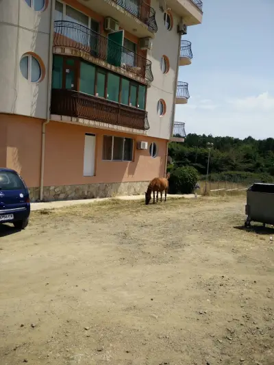 Бунгала КОТВАТА