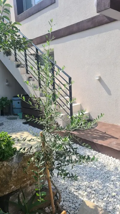 Апартаменти Villa Mare