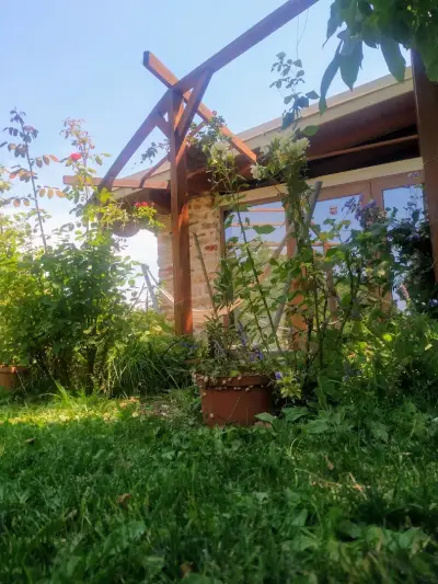 House Albena