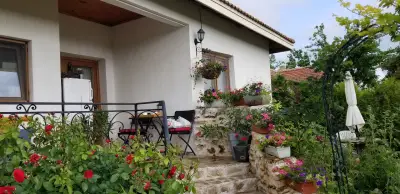 House Albena