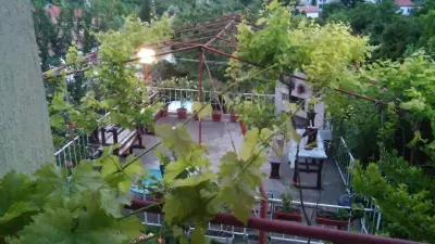 ВИЛА ЦОНЕВИ