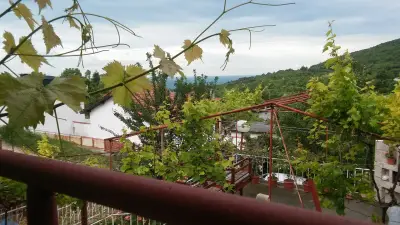ВИЛА ЦОНЕВИ