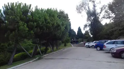 Топалови